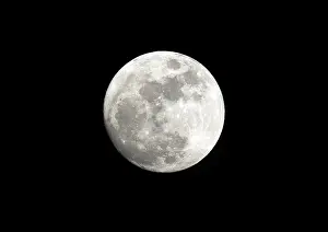 Moonlight Photography Stampe: Full moon
