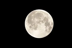 Full Moon Photography Stampe: Full moon