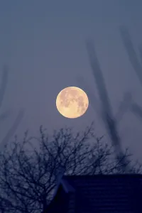 Nighttime Nature Photography Stampe: Full moon