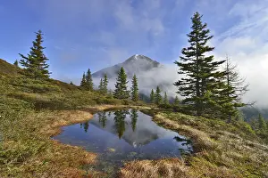 Deserted Mountain Peak View Stampe: Mountain landscape in the spring