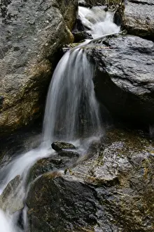 Wild River Waterfall Stampe: Mountain stream
