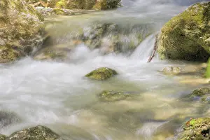 Motion Blur Waterfall Stampe: Mountain stream