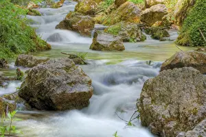 Time Exposure Water Flow Stampe: Mountain stream