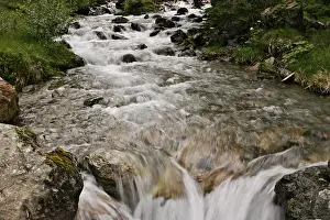 Open Air Waterfall Scene Stampe: Mountain stream