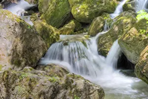 Mountain Creek Stampe: Mountain stream