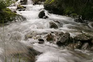 Mountain Creek Stampe: Mountain stream