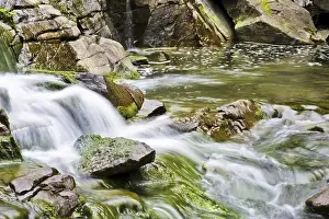 Deserted Mountain Stream Stampe: Mountain stream