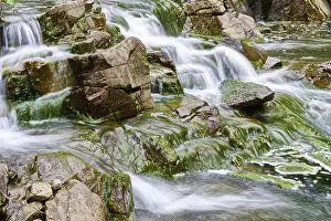 Deserted Mountain Creek Stampe: Mountain stream