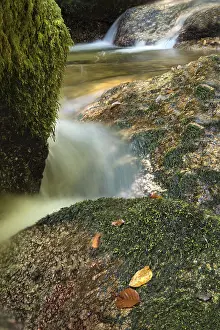 Uninhabited Mountain Stream Stampe: Mountain stream