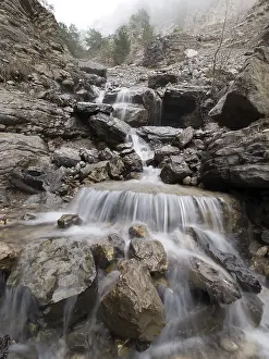 Deserted Waterfront Scenery Stampe: Mountain stream