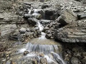 Wild River Landscape Stampe: Mountain stream