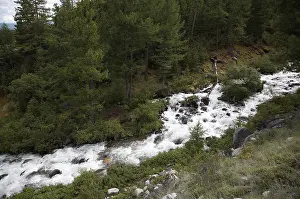 Mountain Creek Scenery Stampe: Mountain stream