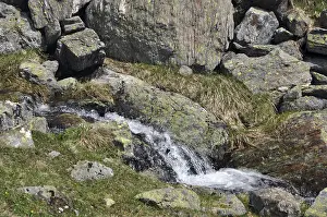 Mountain Stream Stampe: Mountain stream, stream, Austria