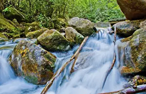 Wilderness Photography Stampe: Mountain streams