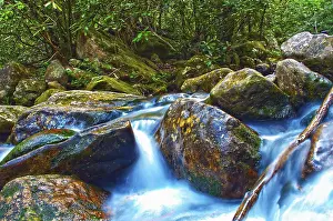 Open Air Waterfront Scene Stampe: Mountain streams