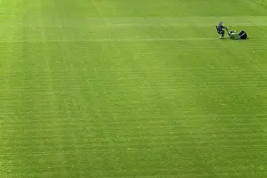 Agricultural Machine Stampe: Mowing grass