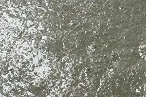 River Bank Scene Stampe: Mud