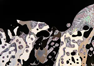 Liquid Crystals Microscope Stampe: Multicolored display of liquid crystals under the microscope