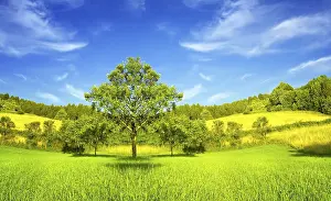 Deserted Countryside Stampe: Nature