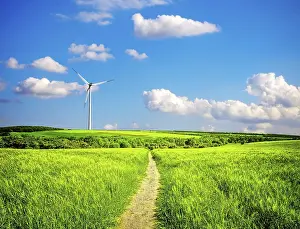 Electric Generator Stampe: Nature