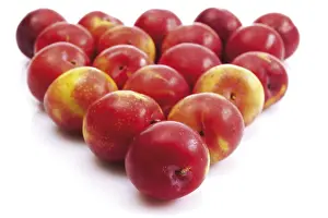 Balanced Diet Foods Stampe: Nectarines