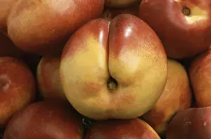 Peach Mutation Stampe: Nectarines, a mutation of the peach