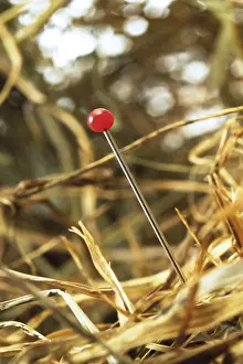 Indoor Studio Photography Stampe: Needle in a stack of hay