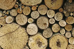 Environmental Protection For Bees Stampe: Nesting aids for wild bees