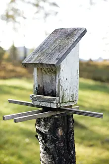 Wildlife Breeding Grounds Stampe: Nesting box