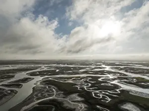 Low Tide In Andalusia Spain Stampe: Network of channels and streams at low tide
