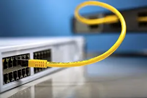 Electronic Communication Devices Stampe: Network switches and patch cables