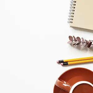 Stationery Supplies Image Stampe: Notebook, eucalyptus leaf, pencil