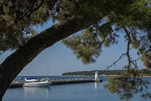 Adriatic Sea Harbor Stampe: Novigrad