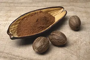 Spice Photography Stampe: Nutmeg