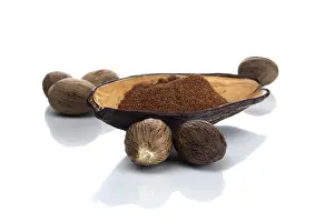 Nutmeg Spice Stampe: Nutmeg