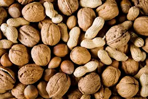 Hazelnut Nutrition Facts Stampe: Nuts