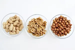 Legume Nutrition Benefits Stampe: Nuts