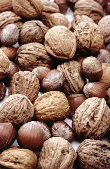 Christmas Nuts Stampe: Nuts