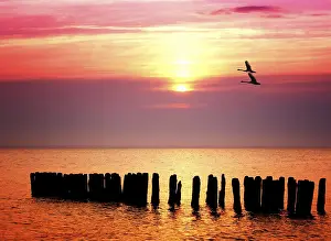 Setting Sun Over Sea Stampe: Ocean sunset