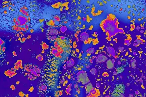 No People Waterfront Scene Stampe: Oil bubbles inside water base form patterns