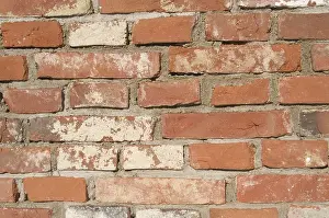 Architecture Details Stampe: Old brick wall
