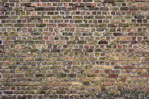Deserted Building Architecture Stampe: Old brick wall texture background