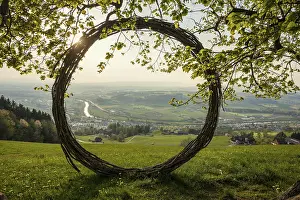 Deciduous Tree Branches Stampe: Old lime tree and circle of branches