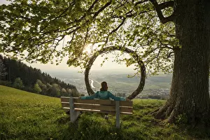 Deciduous Tree Branch Stampe: Old lime tree and circle of branches