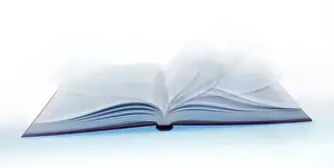 Digital Composing Techniques Stampe: Opened book