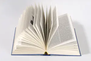 Educational Reform Symbol Stampe: Opened up book