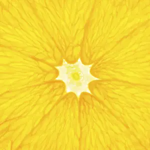 Close Up Orange Slice Stampe: Orange slice close up