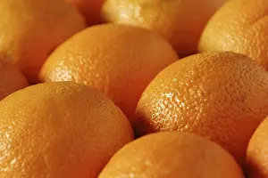 Orange Fruit Stampe: Oranges