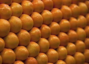 Citrus Fruit Pattern Stampe: Oranges