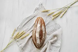 Rye Bread Stampe: Overhead view of rue bread on light background